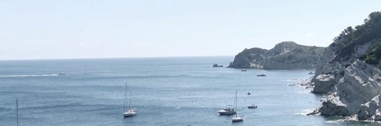 sofialamar's profile banner image