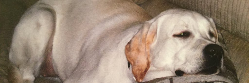 dtbag22's profile banner image