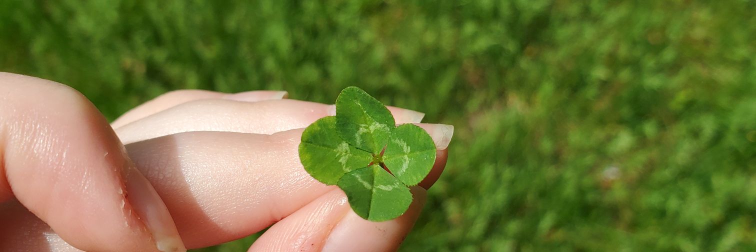 _LuckyLauraLoo's profile banner image