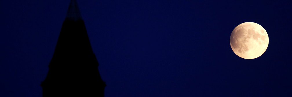 bitup_fun's profile banner image