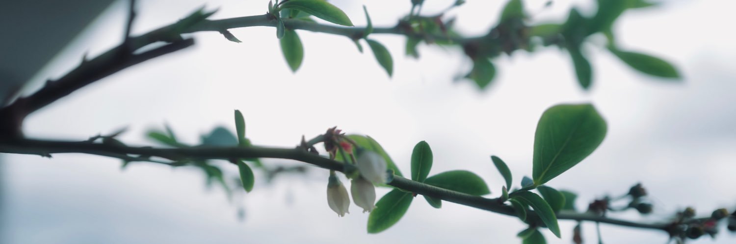 compgraph's profile banner image