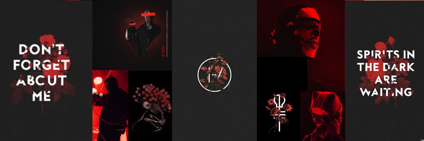 perfxtdisaster's profile banner image