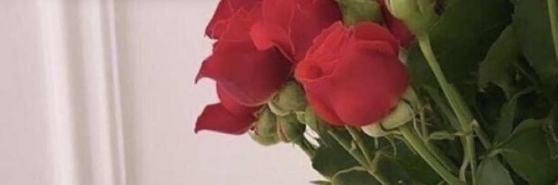 Huda_Mohammed5's profile banner image