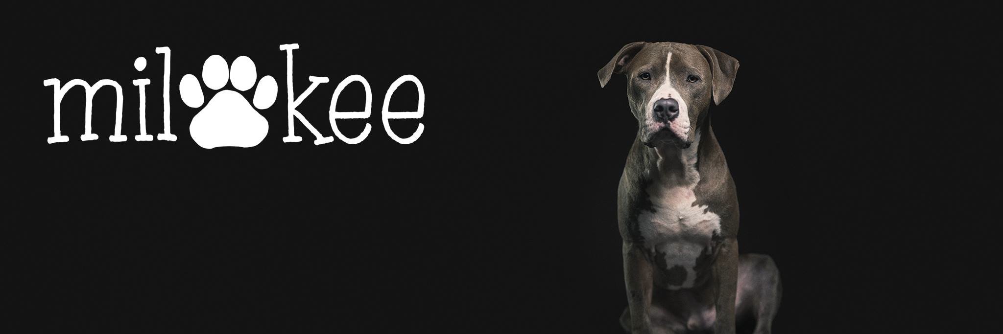 MilPAWkee's profile banner image