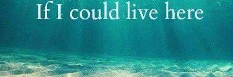 macy_taylor15's profile banner image
