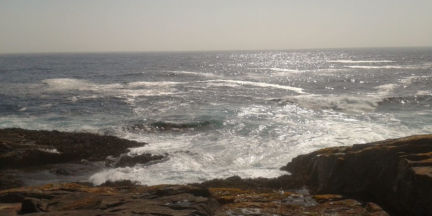 MuozAnita's profile banner image