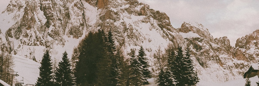 LismonaA's profile banner image