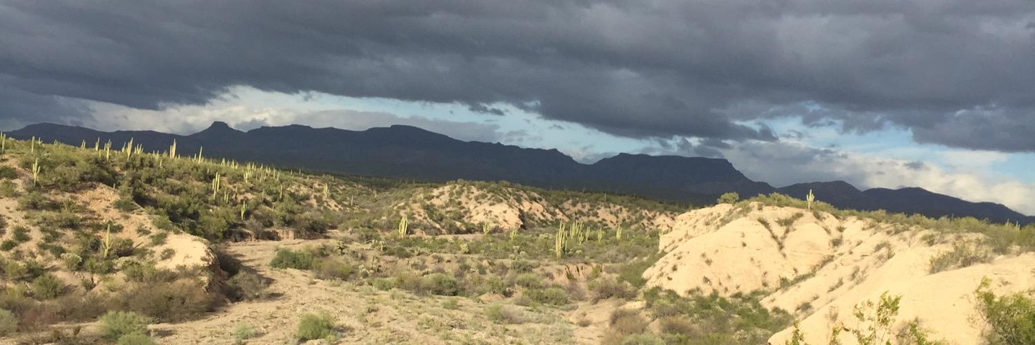 Bribiescas24's profile banner image