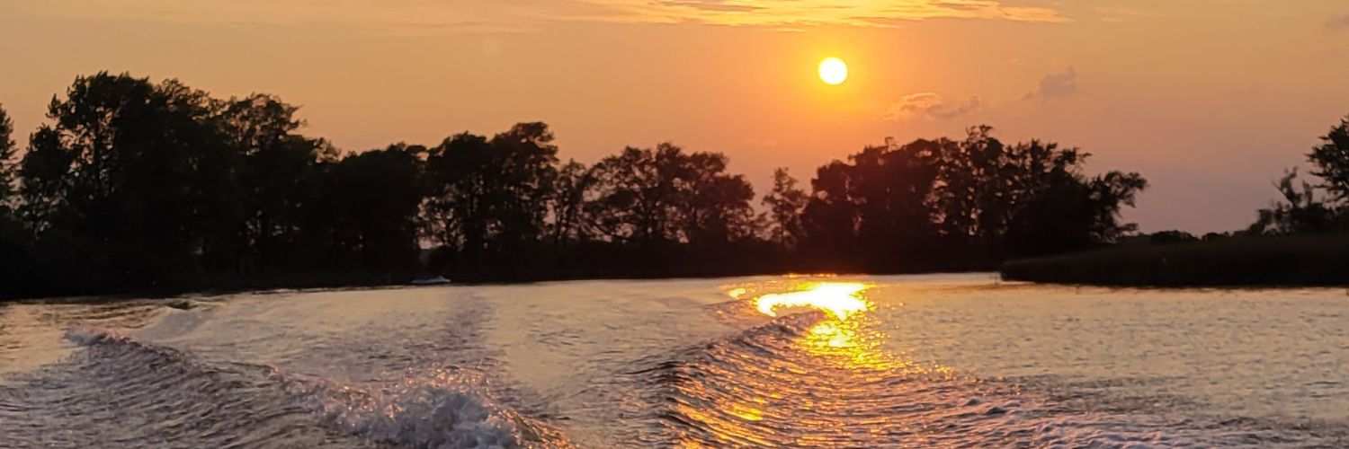 sydneyseverin's profile banner image