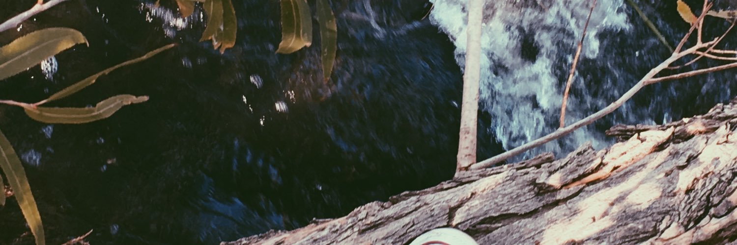 2004Charliee's profile banner image