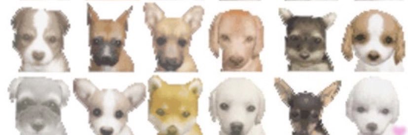 moshdollaz's profile banner image