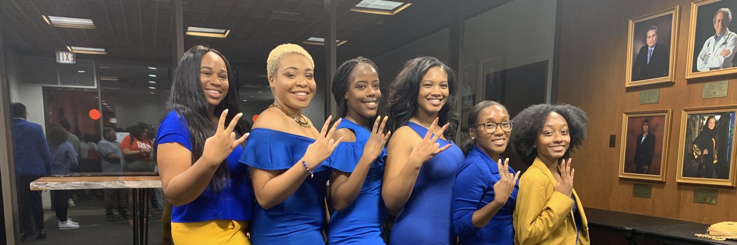 Pretty Poodles of OB banner