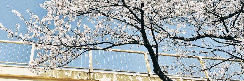 なつき banner