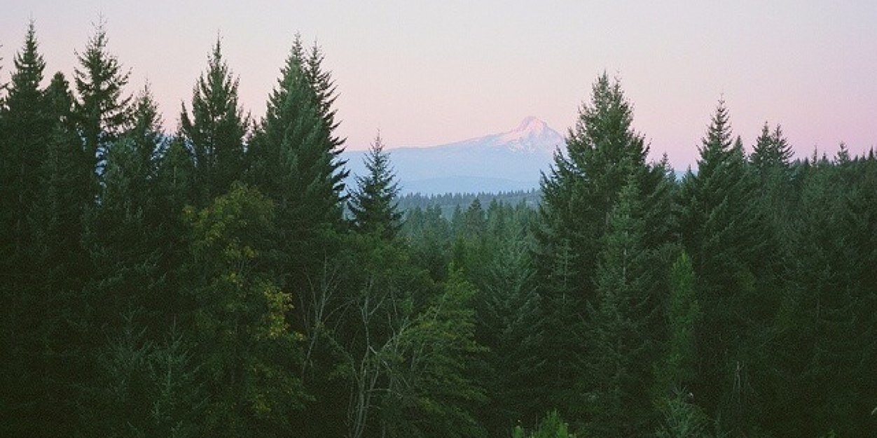 RileyAnneHurst's profile banner image