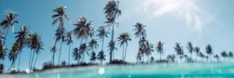 Neal Workinger banner