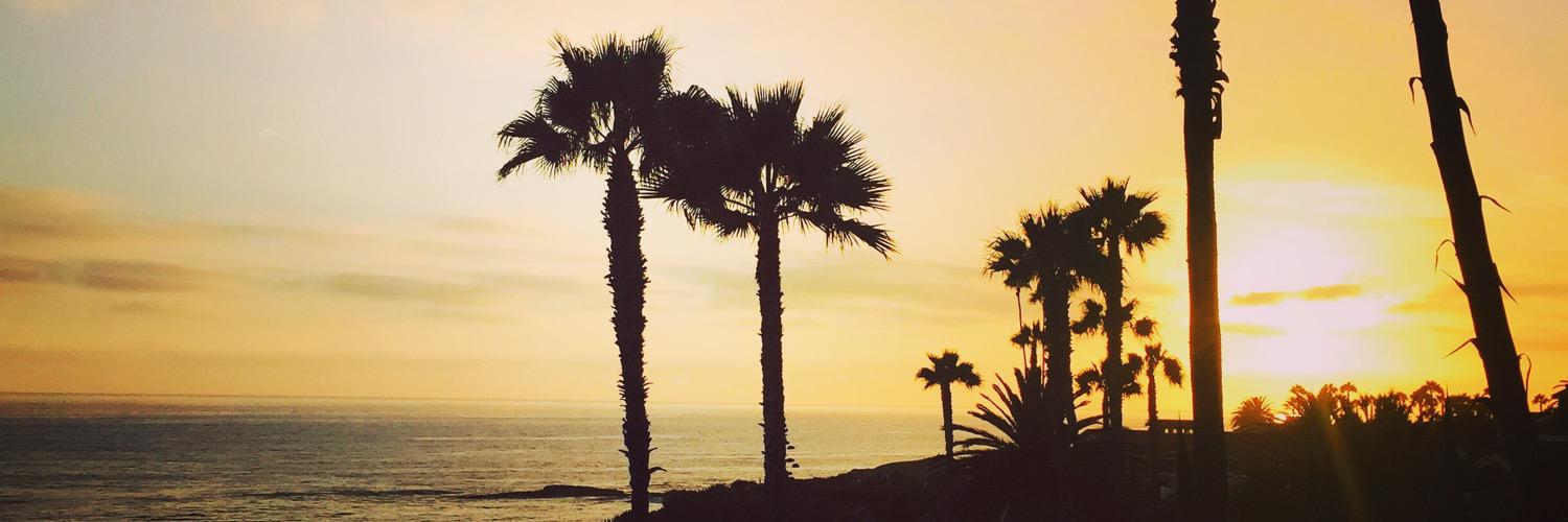 Alex49H's profile banner image