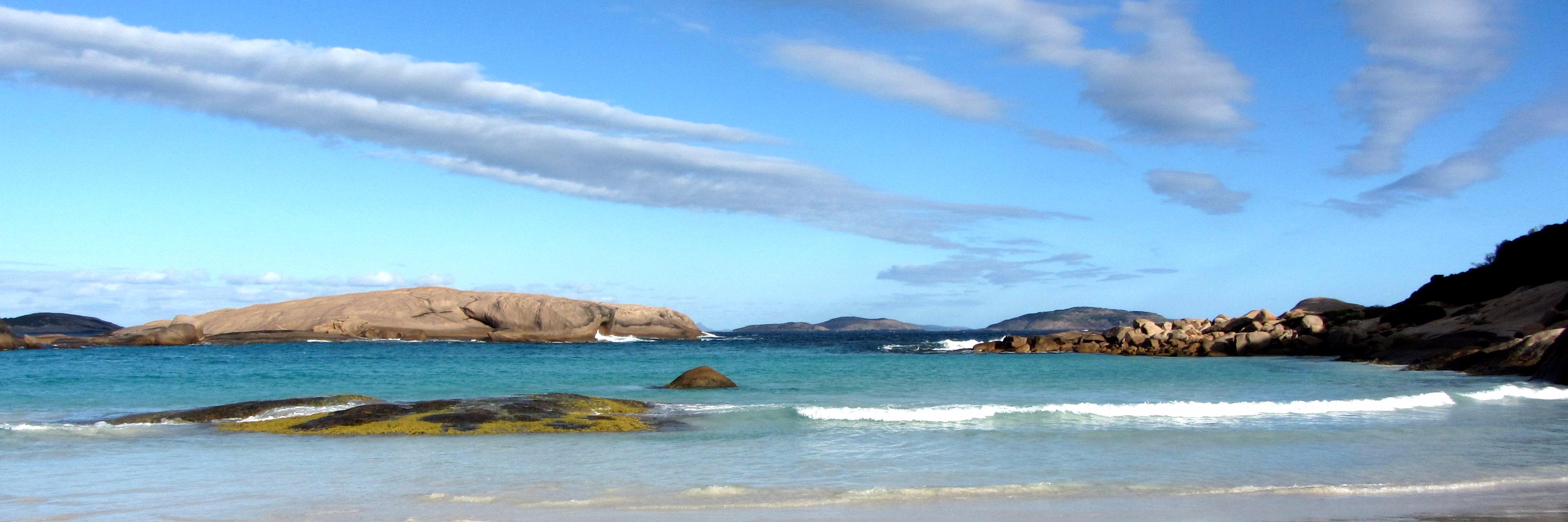 Dr Lies Notebaert banner