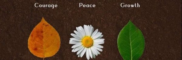 vishaltiwari89 Profile Banner