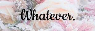 vnpspta's profile banner image