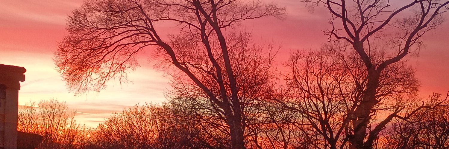 AutumnInNY1's profile banner image