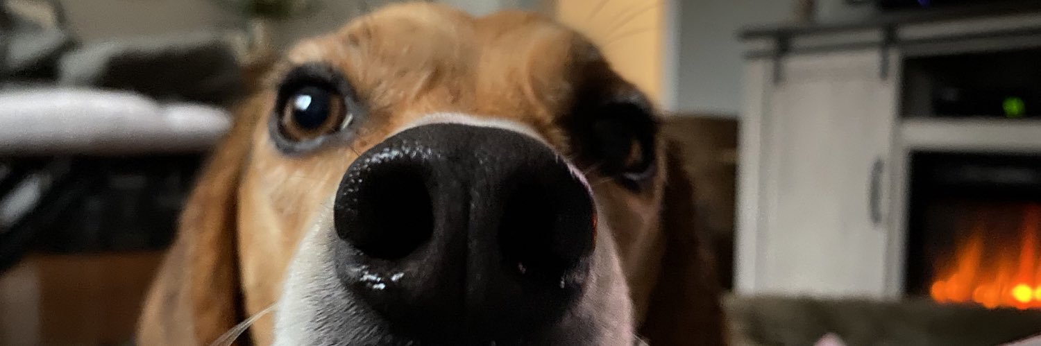 BigAl1204's profile banner image