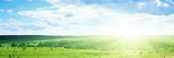 sylviefaith's profile banner image