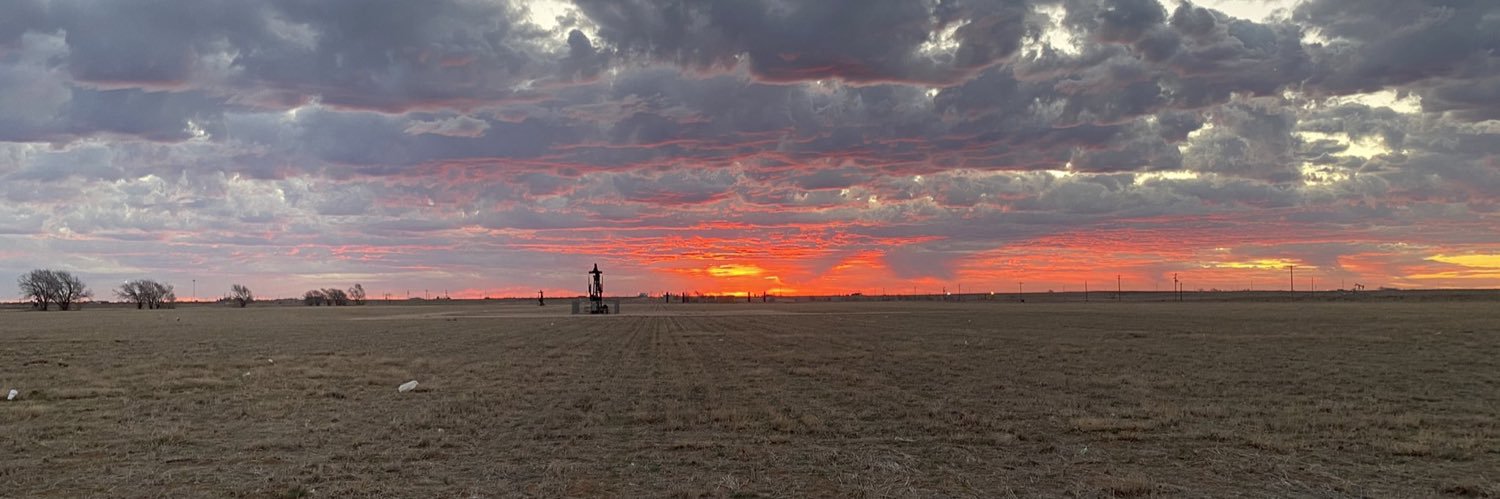 RealRyanFitz's profile banner image