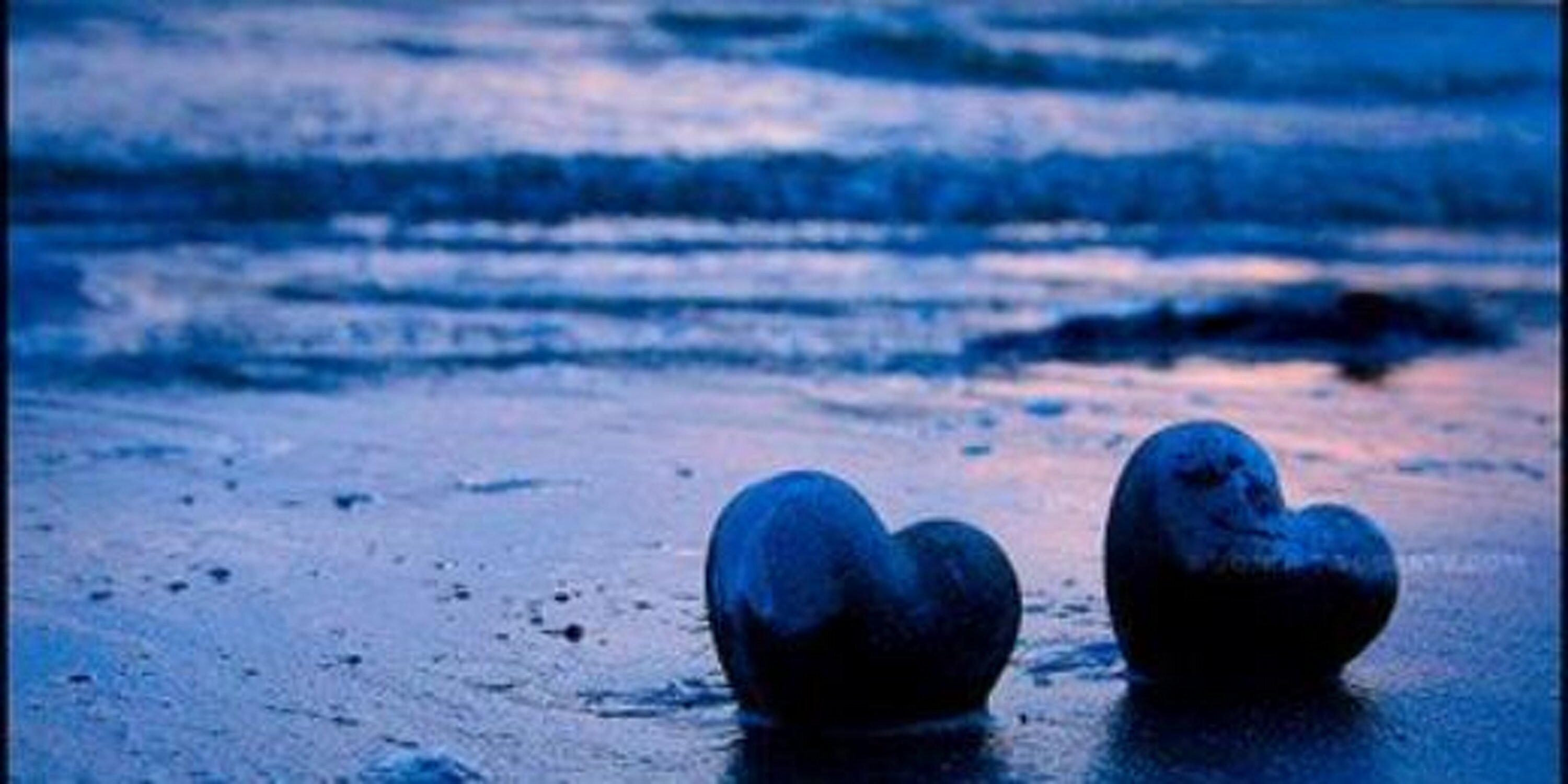 peanut_case's profile banner image