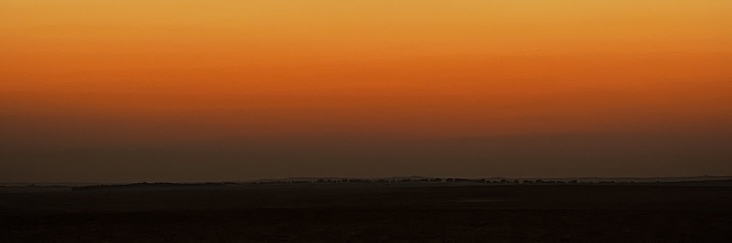 ioxo515's profile banner image