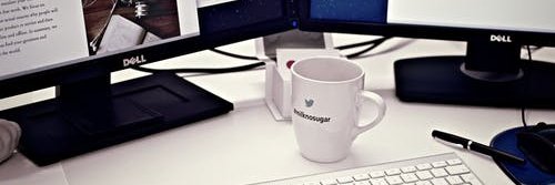 stvrlightt🍁 banner