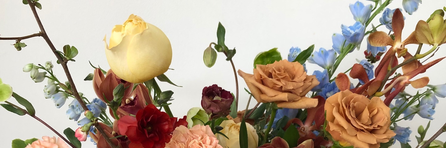 EmilyDirks's profile banner image