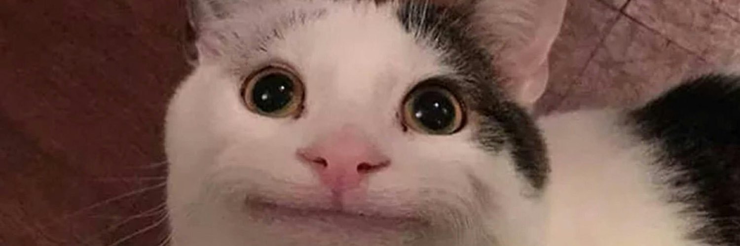 ChiefCha0s_'s profile banner image