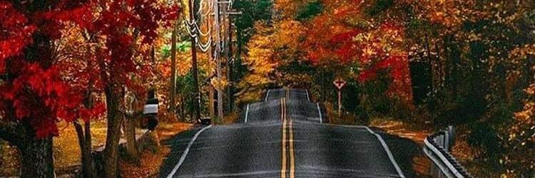 TheAuggernaut banner