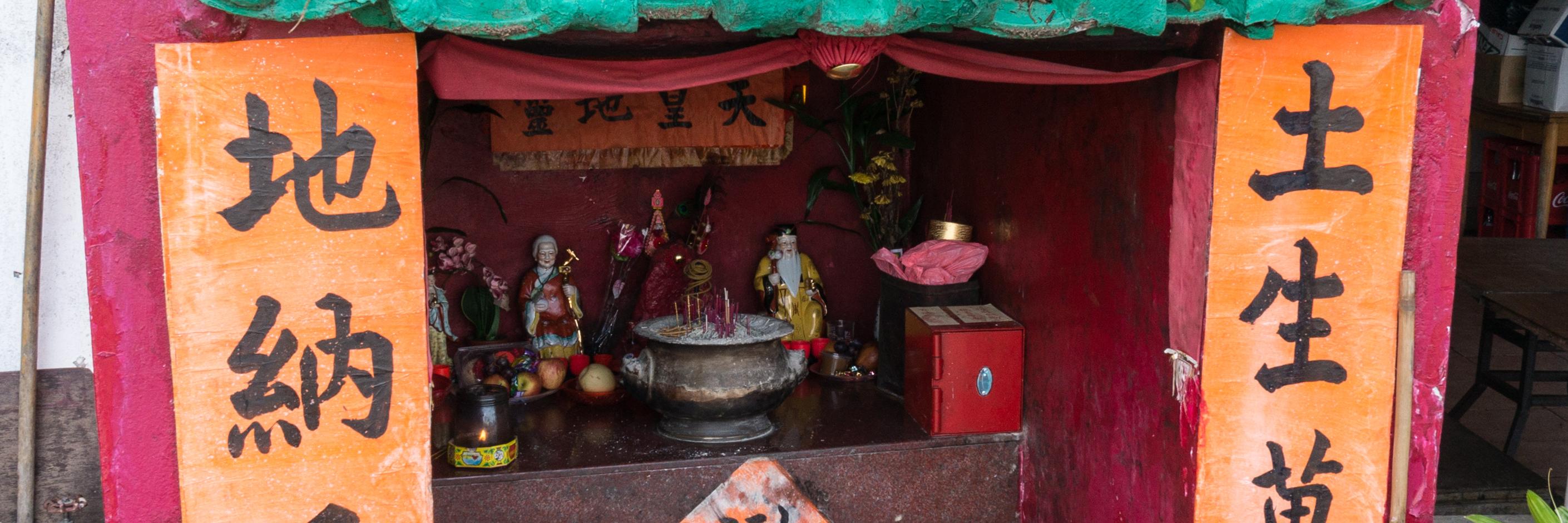 Erica Thornton banner