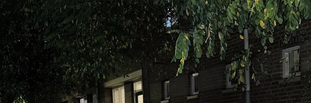 nesyardw's profile banner image