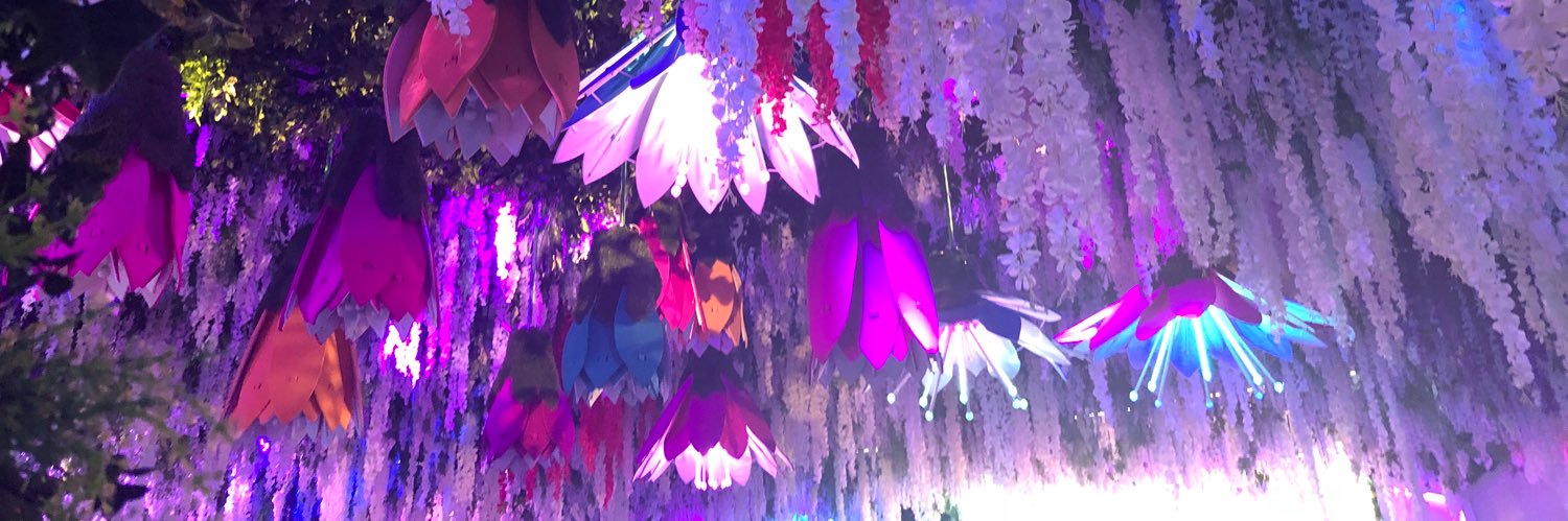 KatieInaCan's profile banner image