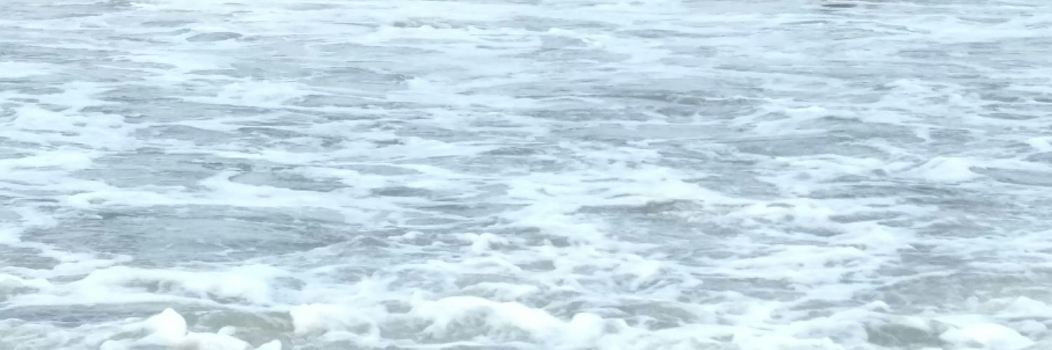 Just_rand0m_guy's profile banner image