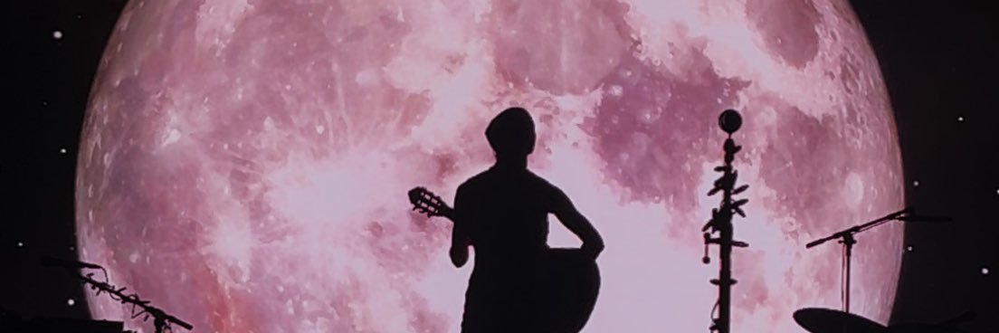 laney_hicks's profile banner image