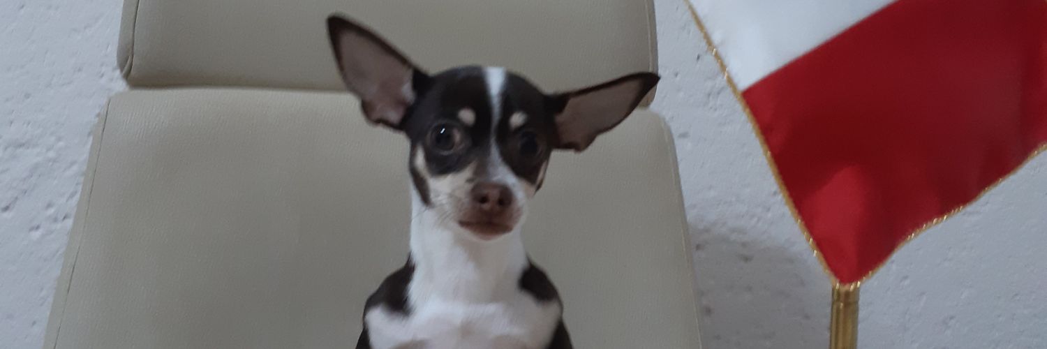 taquibaby's profile banner image