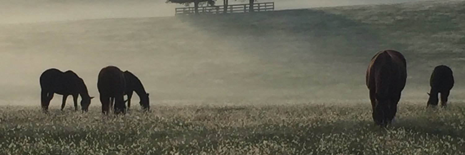 Hidden Brook Farm banner