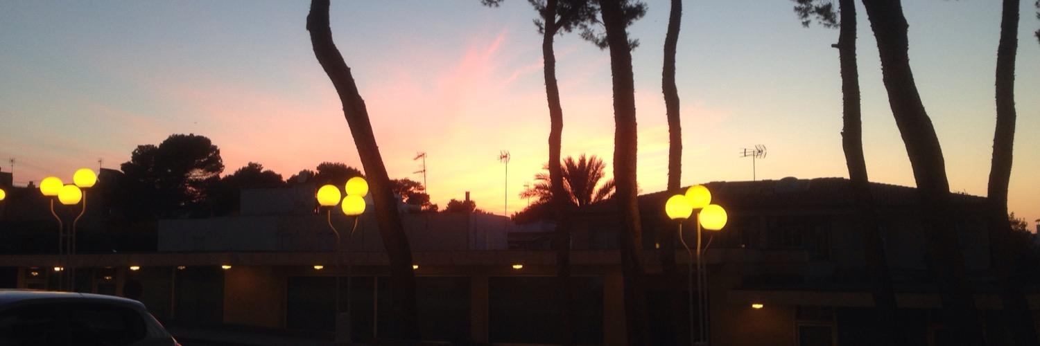 birdmatty's profile banner image