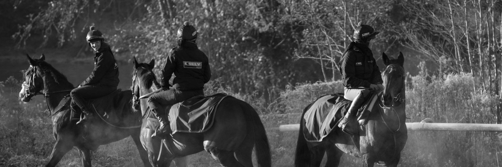MichaelScu's profile banner image