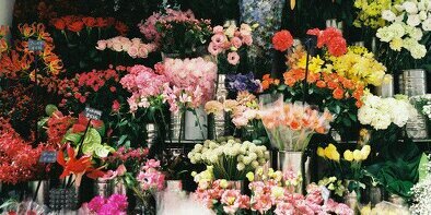 sh_love403's profile banner image