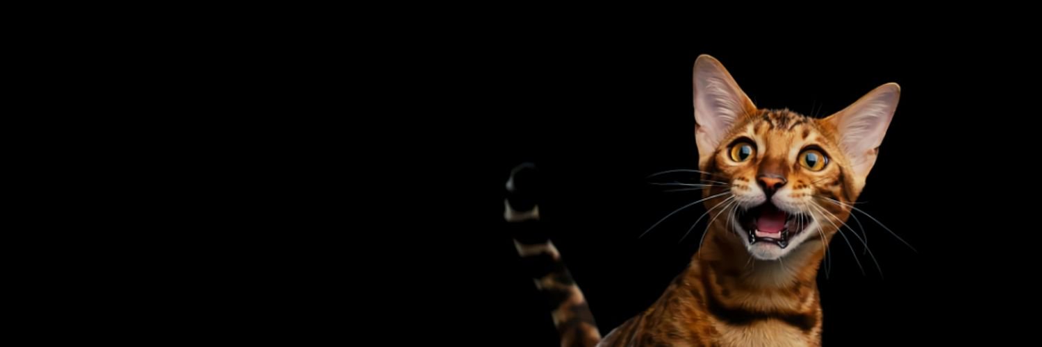 gilanggdm's profile banner image