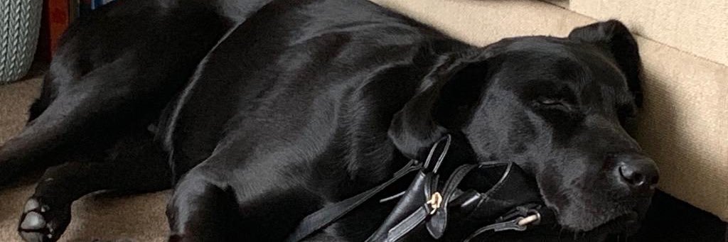 danedobson_'s profile banner image