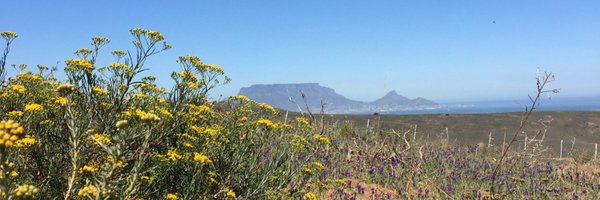 MariskeStrauss Profile Banner