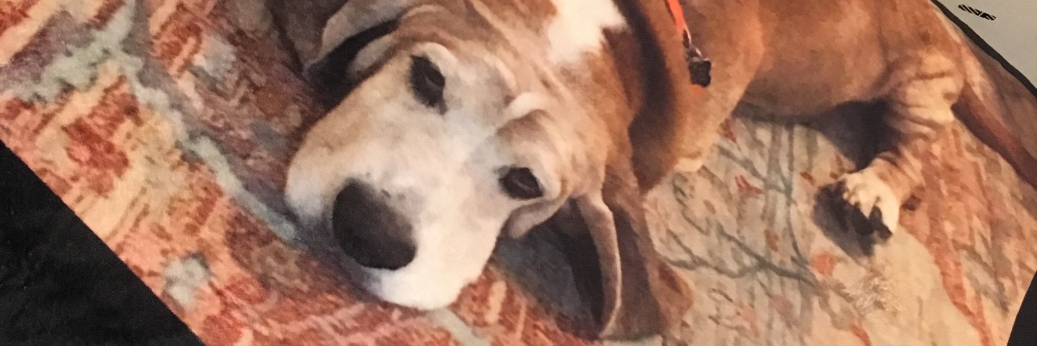 ChrisRoberson's profile banner image