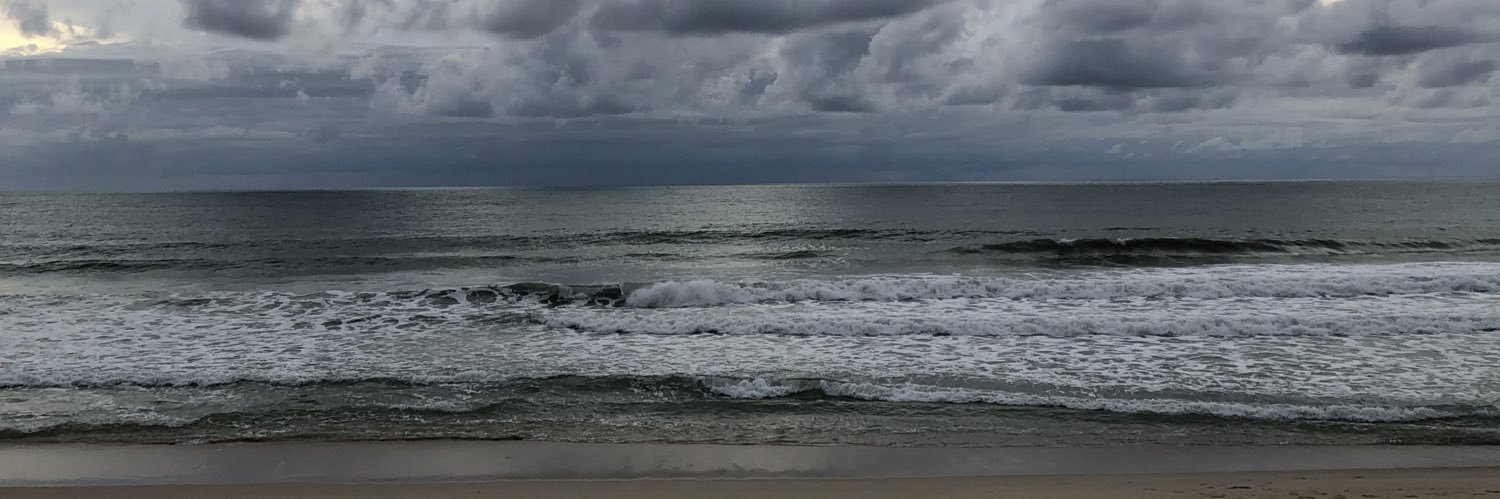 Danilo Ćurčić banner