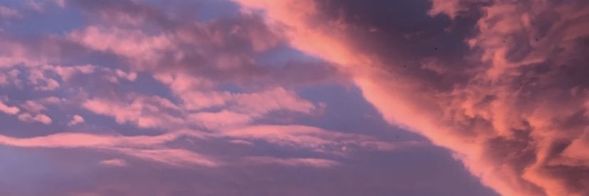 tmiayrn's profile banner image
