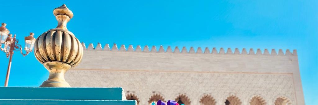 taniarion's profile banner image